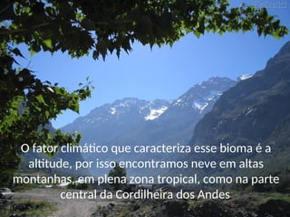 O fator climático que caracteriza esse bioma é a
altitude, por isso encontramos neve em altas
montanhas, em plena zona tropical, como na parte
central da Cordilheira dos Andes.
 
