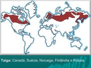 Taiga: Canadá, Suécia, Noruega, Finlândia e Rússia.
 