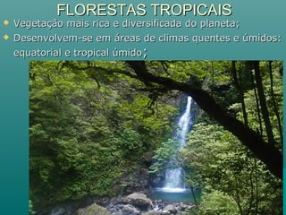 FLORESTAS TROPICAISFLORESTAS TROPICAIS
 Vegetação mais rica e diversificada do planeta;Vegetação mais rica e diversificada do planeta;
 Desenvolvem-se em áreas de climas quentes e úmidos:Desenvolvem-se em áreas de climas quentes e úmidos:
equatorial e tropical úmidoequatorial e tropical úmido;;
 
