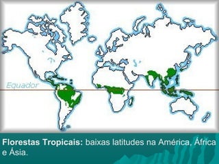 Florestas Tropicais: baixas latitudes na América, África
e Ásia.
 