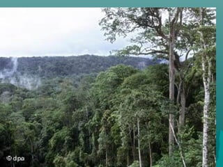 Aspecto Fisiográfico
 