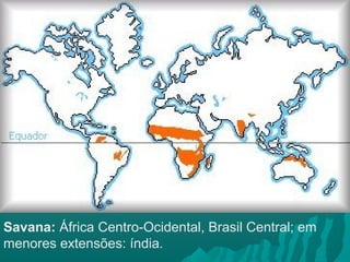 Savana: África Centro-Ocidental, Brasil Central; em
menores extensões: índia.
 