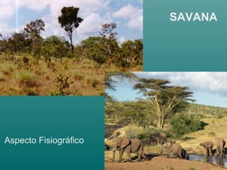 SAVANA
Aspecto Fisiográfico
 