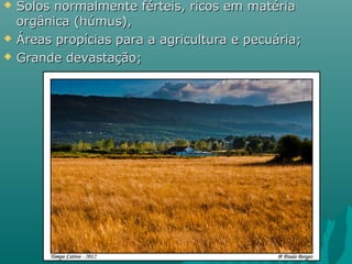  Solos normalmente férteis, ricos em matériaSolos normalmente férteis, ricos em matéria
orgânica (húmus),orgânica (húmus),
 Áreas propícias para a agricultura e pecuária;Áreas propícias para a agricultura e pecuária;
 Grande devastação;Grande devastação;
 