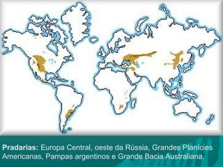 Pradarias: Europa Central, oeste da Rússia, Grandes Planícies
Americanas, Pampas argentinos e Grande Bacia Australiana.
 