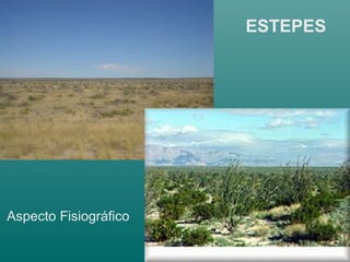 ESTEPES
Aspecto Fisiográfico
 