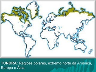 TUNDRA: Regiões polares, extremo norte da América,
Europa e Ásia.
 