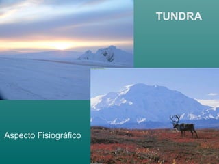 TUNDRA
Aspecto Fisiográfico
 