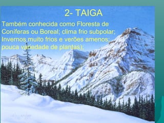 Também conhecida como Floresta de
Coníferas ou Boreal; clima frio subpolar;
Invernos muito frios e verões amenos;
pouca variedade de plantas);
2- TAIGA
 