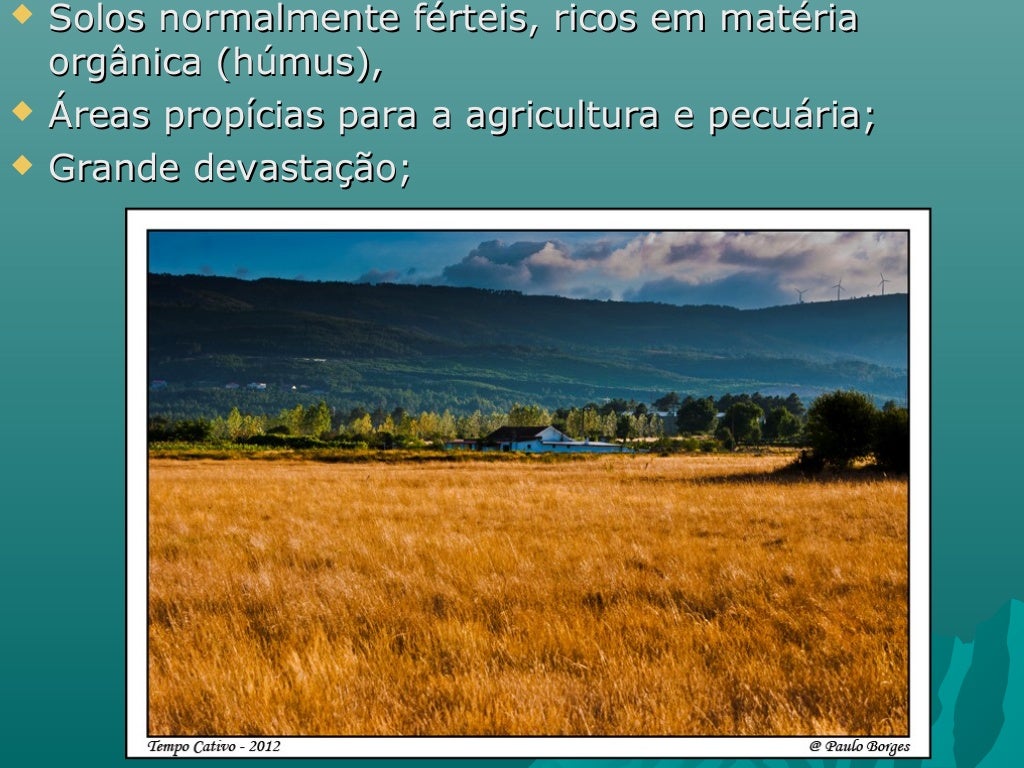 Escolha Tres Biomas Mundiais E Indique Alguns Impactos Ambientais