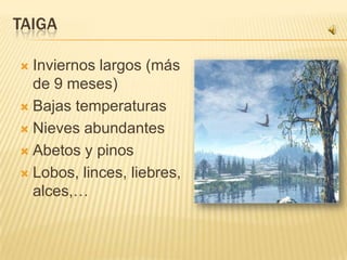 TAIGA

 Inviernos largos (más
  de 9 meses)
 Bajas temperaturas

 Nieves abundantes

 Abetos y pinos

 Lobos, linces, liebres,
  alces,…
 