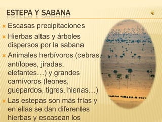 ESTEPA Y SABANA
 Escasas precipitaciones
 Hierbas altas y árboles
  dispersos por la sabana
 Animales herbívoros (cebras,
  antílopes, jiradas,
  elefantes…) y grandes
  carnívoros (leones,
  guepardos, tigres, hienas…)
 Las estepas son más frías y
  en ellas se dan diferentes
  hierbas y escasean los
 