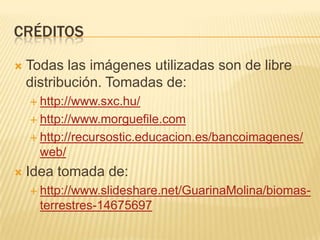 CRÉDITOS

   Todas las imágenes utilizadas son de libre
    distribución. Tomadas de:
     http://www.sxc.hu/

     http://www.morguefile.com

     http://recursostic.educacion.es/bancoimagenes/
      web/
   Idea tomada de:
     http://www.slideshare.net/GuarinaMolina/biomas-
      terrestres-14675697
 