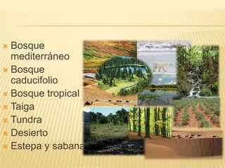  Bosque
  mediterráneo
 Bosque
  caducifolio
 Bosque tropical
 Taiga
 Tundra
 Desierto
 Estepa y sabana
 