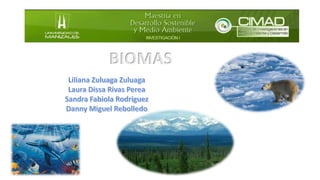 BIOMAS

 