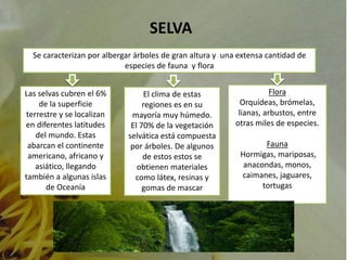 SELVA 
Se caracterizan por albergar árboles de gran altura y una extensa cantidad de 
especies de fauna y flora 
Las selvas cubren el 6% 
de la superficie 
terrestre y se localizan 
en diferentes latitudes 
del mundo. Estas 
abarcan el continente 
americano, africano y 
asiático, llegando 
también a algunas islas 
de Oceanía 
El clima de estas 
regiones es en su 
mayoría muy húmedo. 
El 70% de la vegetación 
selvática está compuesta 
por árboles. De algunos 
de estos estos se 
obtienen materiales 
como látex, resinas y 
gomas de mascar 
Flora 
Orquídeas, brómelas, 
lianas, arbustos, entre 
otras miles de especies. 
Fauna 
Hormigas, mariposas, 
anacondas, monos, 
caimanes, jaguares, 
tortugas 
 