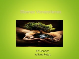 4º Ciencias
Yuliana Rosas
 