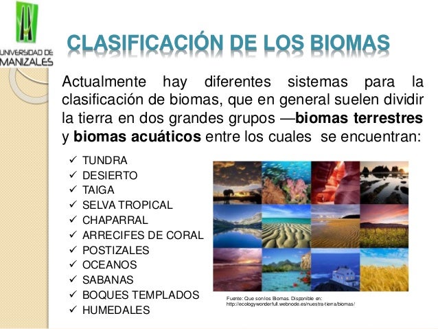 Biomas wiki 3