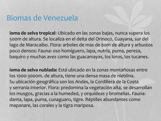 Biomas de Venezuela 
ioma de selva tropical: Ubicado en las zonas bajas, nunca supera los 
500m de altura. Se localiza en el delta del Orinoco, Guayana, sur del 
lago de Maracaibo. Flora: arboles de mas de 60m de altura y arbustos 
poco densos: Fauna: oso homiguero, lapa, nutria, puma, pereza, 
baquiro y muchas aves como las guacamayas, los loros, los tucanes. 
ioma de selva nublada: Está ubicado en la zonas montañosas entre 
los 1000-3000m. de altura, tiene una densa masa de nieblina. 
Su ubicación geográfica son los Andes, la Cordillera de la Costa 
y serranía interior. Flora: predomina la vegetación alta, se desarrollan 
los musgos, gracias a la humeded, y orquídeas y bromelias. Fauna: 
danta, lapa, puma, cunaguaro, tigre. Réptiles abundantes como 
mapanare, las corales y la tigra mariposa. 
