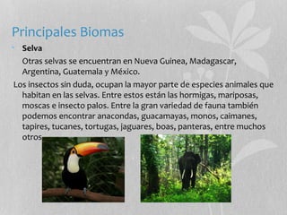 Principales Biomas 
• Selva 
Otras selvas se encuentran en Nueva Guinea, Madagascar, 
Argentina, Guatemala y México. 
Los insectos sin duda, ocupan la mayor parte de especies animales que 
habitan en las selvas. Entre estos están las hormigas, mariposas, 
moscas e insecto palos. Entre la gran variedad de fauna también 
podemos encontrar anacondas, guacamayas, monos, caimanes, 
tapires, tucanes, tortugas, jaguares, boas, panteras, entre muchos 
otros. 
 