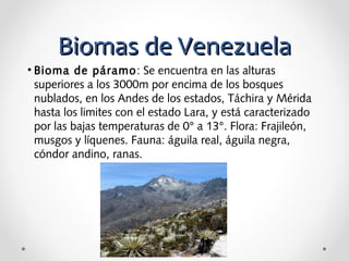 BBiioommaass ddee VVeenneezzuueellaa 
• Bioma de páramo: Se encuentra en las alturas 
superiores a los 3000m por encima de los bosques 
nublados, en los Andes de los estados, Táchira y Mérida 
hasta los limites con el estado Lara, y está caracterizado 
por las bajas temperaturas de 0° a 13°. Flora: Frajileón, 
musgos y líquenes. Fauna: águila real, águila negra, 
cóndor andino, ranas. 
