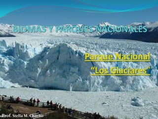 Parque Nacional
                          “Los Glaciares”



Prof. Stella M. Chacho
 