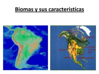 Biomas y sus caracteristicas 