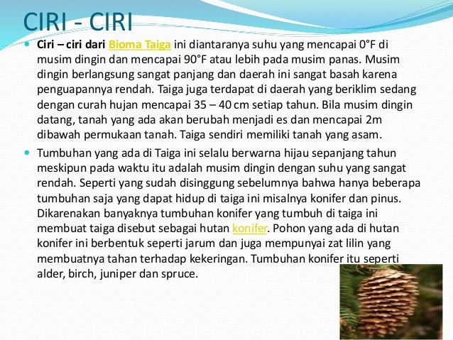 Karakteristik Bioma Taiga Belajar