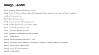 Image Credits:
Slide 1: Alexander Steamaze/Shutterstock.com
Slide 2: Denis---S/Shutterstock.com, Davizro Photography/Shutterstock.com, Ivan_Shenets/Shutterstock.com,
maradek/Shutterstock.com
Slide 4: Chzu/Shutterstock.com
Slide 5: Joaquin Corbalan P/Shutterstock.com
Slide 6: Vink Fan/Shutterstock.com, Meade/NIBIB
Slide 7: Sansanorth/Shutterstock.com
Slide 8: Okayanstvo/Shutterstock.com
Slide 9: Vectoressa/Shutterstock.com, Meade/NIBIB
Slide 10: Meade/NIBIB
Slide 11: Maria Eliza Moraes/Shutterstock.com
Slide 12: Vectoressa/Shutterstock.com, cosmin4000/iStock.com, MikeRun/Wikimedia Commons
Slide 13: Meade/NIBIB, Meade/NIBIB
Slide 14: Denis---S/Shutterstock.com
Slide 15: Meade/NIBIB
 