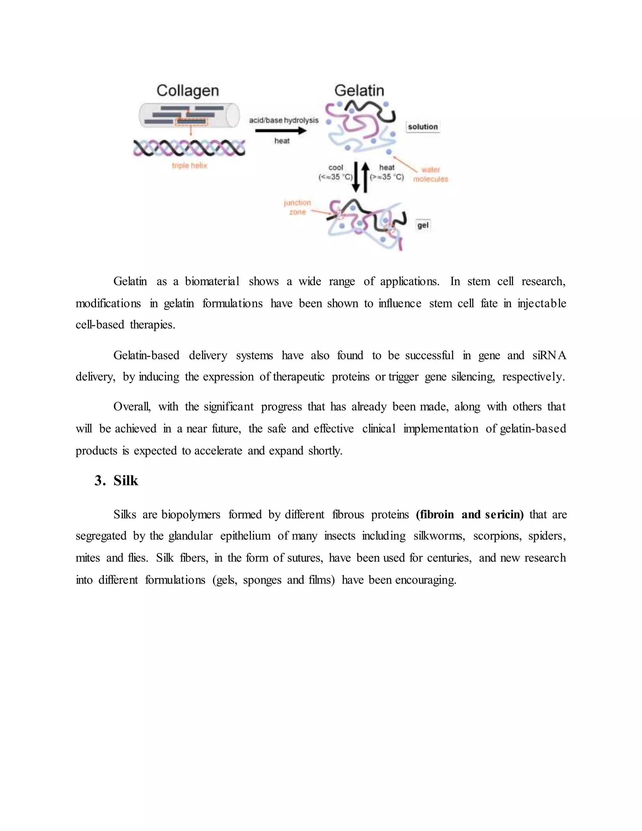 Gelatin as a biomaterial shows a wide range of applications. In stem cell research,
modifications in gelatin formulations have been shown to influence stem cell fate in injectable
cell-based therapies.
Gelatin-based delivery systems have also found to be successful in gene and siRNA
delivery, by inducing the expression of therapeutic proteins or trigger gene silencing, respectively.
Overall, with the significant progress that has already been made, along with others that
will be achieved in a near future, the safe and effective clinical implementation of gelatin-based
products is expected to accelerate and expand shortly.
3. Silk
Silks are biopolymers formed by different fibrous proteins (fibroin and sericin) that are
segregated by the glandular epithelium of many insects including silkworms, scorpions, spiders,
mites and flies. Silk fibers, in the form of sutures, have been used for centuries, and new research
into different formulations (gels, sponges and films) have been encouraging.
 