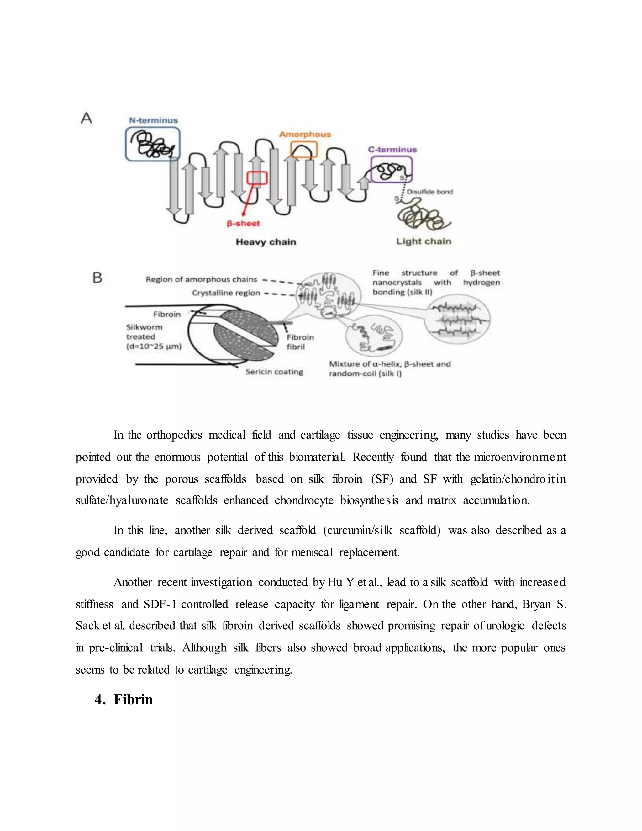 In the orthopedics medical field and cartilage tissue engineering, many studies have been
pointed out the enormous potential of this biomaterial. Recently found that the microenvironment
provided by the porous scaffolds based on silk fibroin (SF) and SF with gelatin/chondroitin
sulfate/hyaluronate scaffolds enhanced chondrocyte biosynthesis and matrix accumulation.
In this line, another silk derived scaffold (curcumin/silk scaffold) was also described as a
good candidate for cartilage repair and for meniscal replacement.
Another recent investigation conducted by Hu Y et al., lead to a silk scaffold with increased
stiffness and SDF-1 controlled release capacity for ligament repair. On the other hand, Bryan S.
Sack et al, described that silk fibroin derived scaffolds showed promising repair of urologic defects
in pre-clinical trials. Although silk fibers also showed broad applications, the more popular ones
seems to be related to cartilage engineering.
4. Fibrin
 