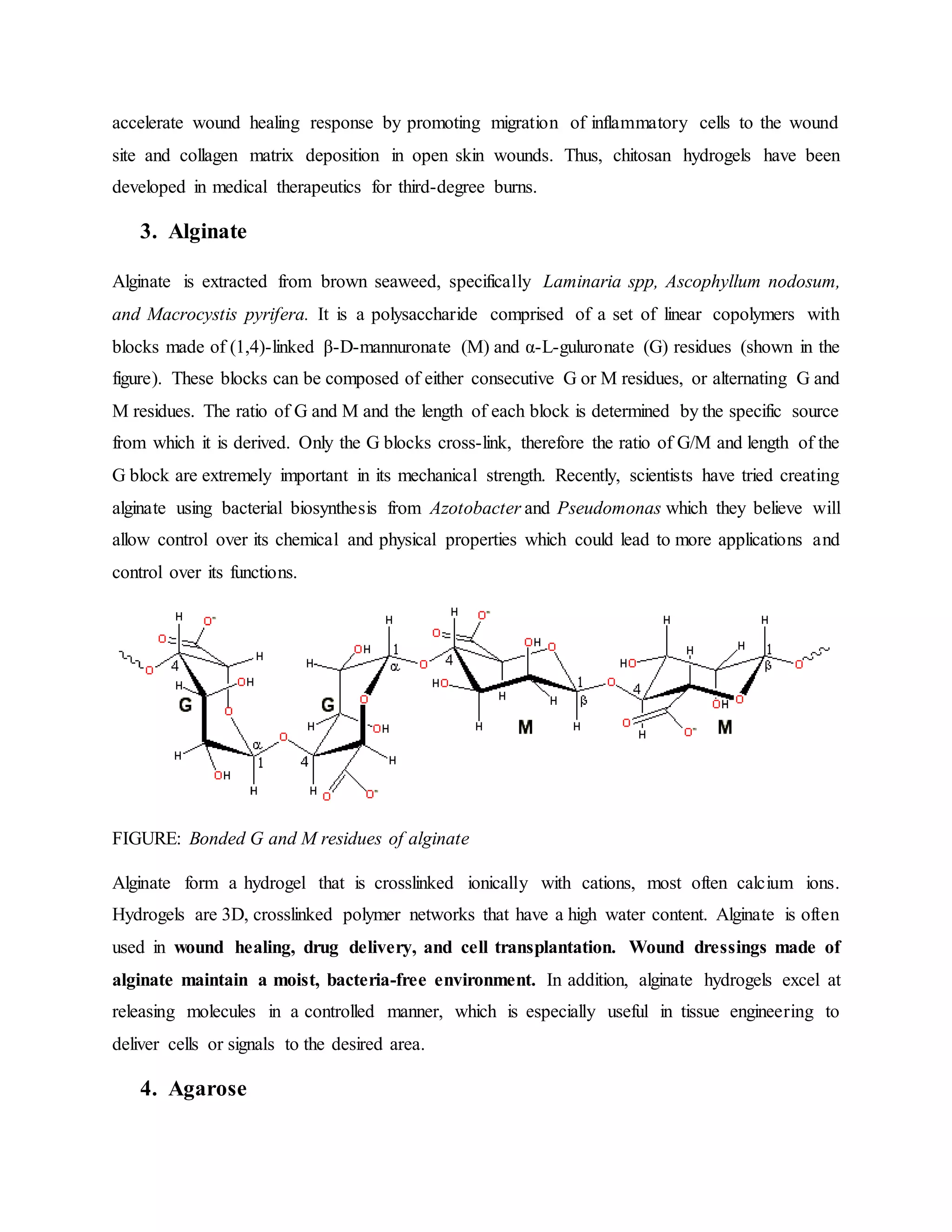 accelerate wound healing response by promoting migration of inflammatory cells to the wound
site and collagen matrix deposition in open skin wounds. Thus, chitosan hydrogels have been
developed in medical therapeutics for third-degree burns.
3. Alginate
Alginate is extracted from brown seaweed, specifically Laminaria spp, Ascophyllum nodosum,
and Macrocystis pyrifera. It is a polysaccharide comprised of a set of linear copolymers with
blocks made of (1,4)-linked β-D-mannuronate (M) and α-L-guluronate (G) residues (shown in the
figure). These blocks can be composed of either consecutive G or M residues, or alternating G and
M residues. The ratio of G and M and the length of each block is determined by the specific source
from which it is derived. Only the G blocks cross-link, therefore the ratio of G/M and length of the
G block are extremely important in its mechanical strength. Recently, scientists have tried creating
alginate using bacterial biosynthesis from Azotobacter and Pseudomonas which they believe will
allow control over its chemical and physical properties which could lead to more applications and
control over its functions.
FIGURE: Bonded G and M residues of alginate
Alginate form a hydrogel that is crosslinked ionically with cations, most often calcium ions.
Hydrogels are 3D, crosslinked polymer networks that have a high water content. Alginate is often
used in wound healing, drug delivery, and cell transplantation. Wound dressings made of
alginate maintain a moist, bacteria-free environment. In addition, alginate hydrogels excel at
releasing molecules in a controlled manner, which is especially useful in tissue engineering to
deliver cells or signals to the desired area.
4. Agarose
 