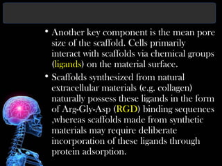 • Another key component is the mean pore
size of the scaffold. Cells primarily
interact with scaffolds via chemical groups
(ligands) on the material surface.
• Scaffolds synthesized from natural
extracellular materials (e.g. collagen)
naturally possess these ligands in the form
of Arg-Gly-Asp (RGD) binding sequences
,whereas scaffolds made from synthetic
materials may require deliberate
incorporation of these ligands through
protein adsorption.
 