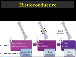 Histioconductive
 