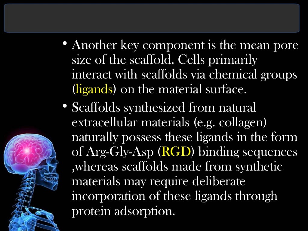 biomaterials in tissue engineering ppt
