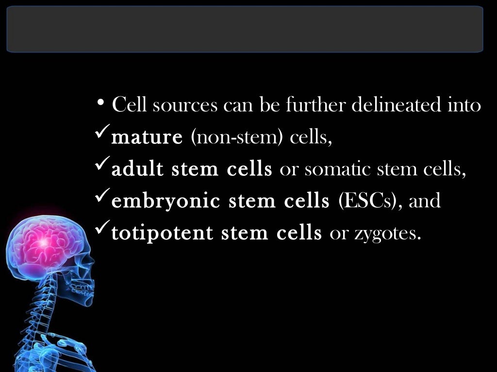 biomaterials in tissue engineering ppt