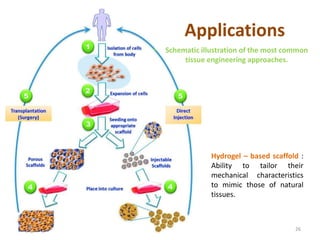 • Schematic illustration of the most common
tissue engineering approaches.
26
Applications
Hydrogel – based scaffold :
Ability to tailor their
mechanical characteristics
to mimic those of natural
tissues.
 