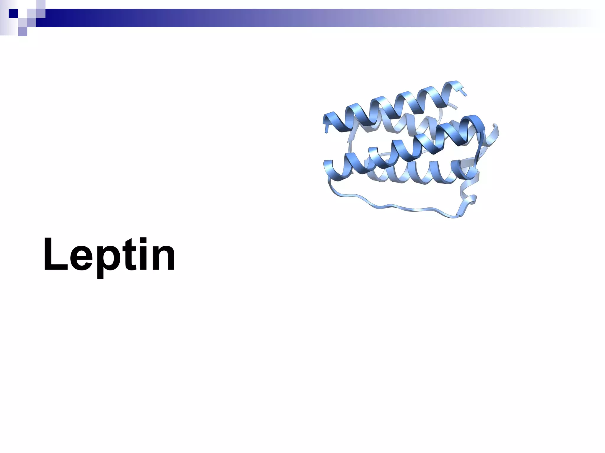Leptin
 