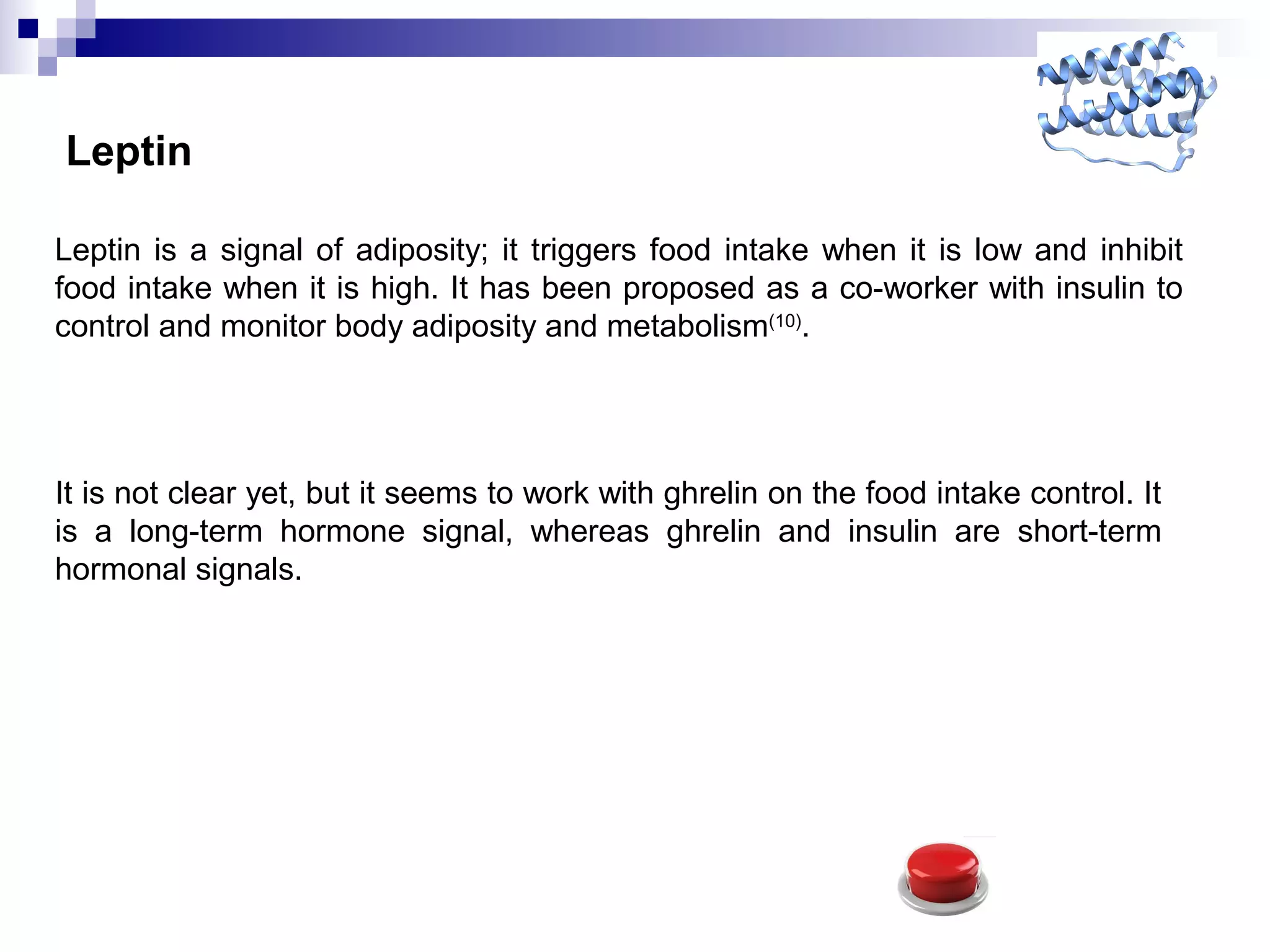 Leptin
Leptin is a signal of adiposity; it triggers food intake when it is low and inhibit
food intake when it is high. It has been proposed as a co-worker with insulin to
control and monitor body adiposity and metabolism(10)
.
It is not clear yet, but it seems to work with ghrelin on the food intake control. It
is a long-term hormone signal, whereas ghrelin and insulin are short-term
hormonal signals.
 