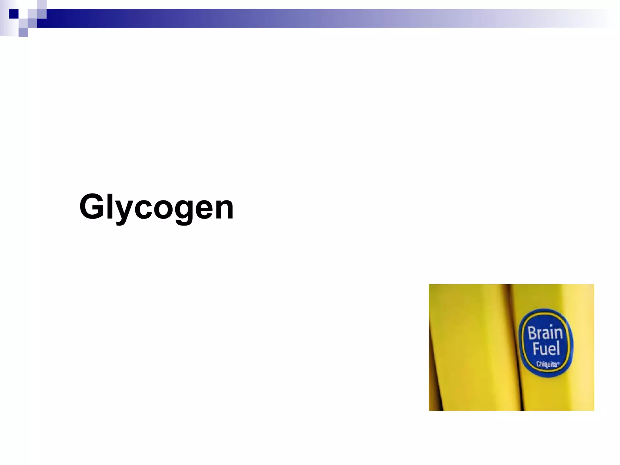 Glycogen
 