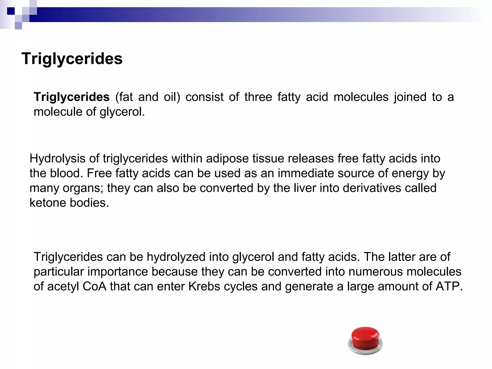 Triglycerides
Triglycerides (fat and oil) consist of three fatty acid molecules joined to a
molecule of glycerol.
Hydrolysis of triglycerides within adipose tissue releases free fatty acids into
the blood. Free fatty acids can be used as an immediate source of energy by
many organs; they can also be converted by the liver into derivatives called
ketone bodies.
Triglycerides can be hydrolyzed into glycerol and fatty acids. The latter are of
particular importance because they can be converted into numerous molecules
of acetyl CoA that can enter Krebs cycles and generate a large amount of ATP.
 