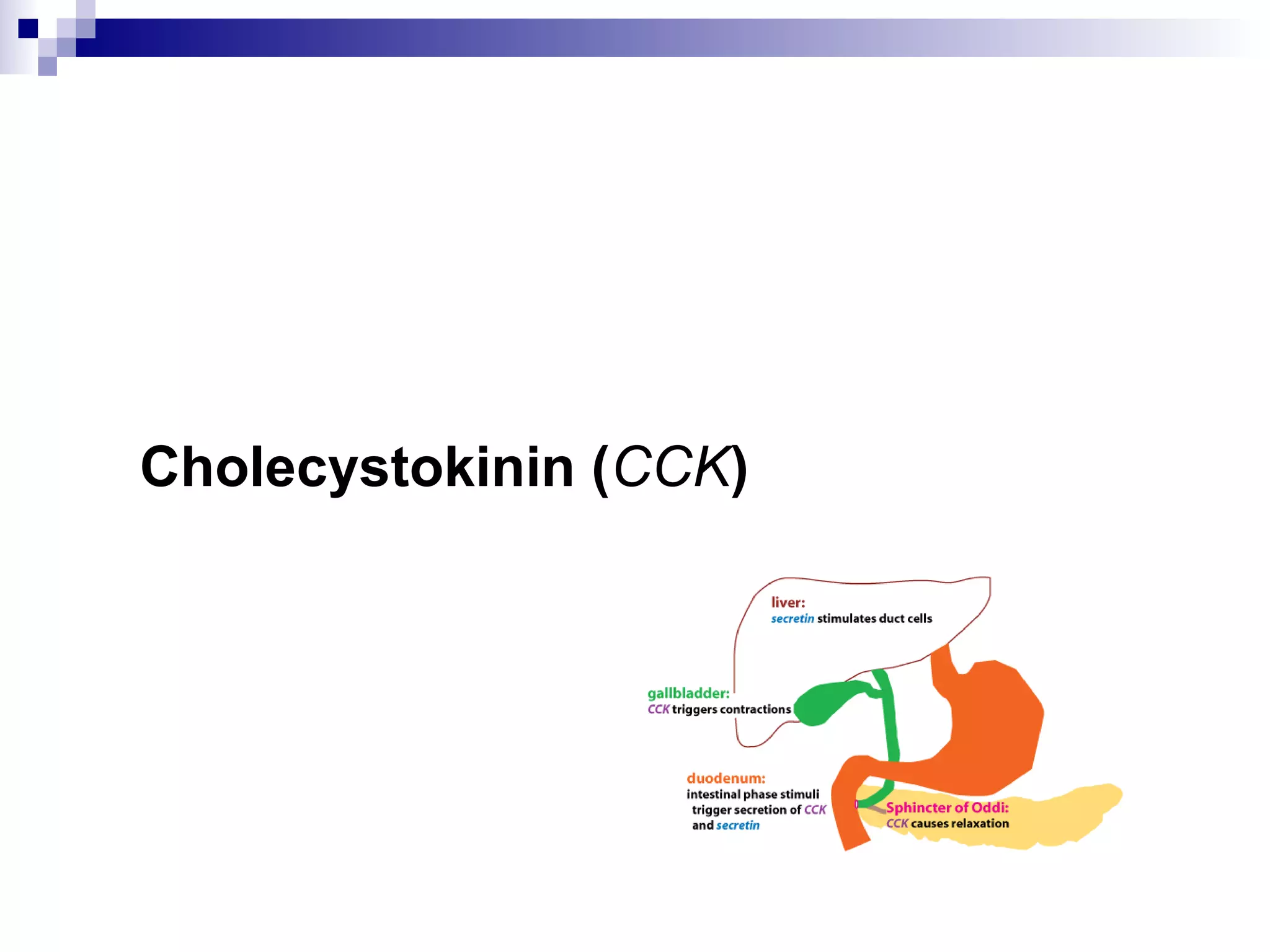 Cholecystokinin (CCK)
 