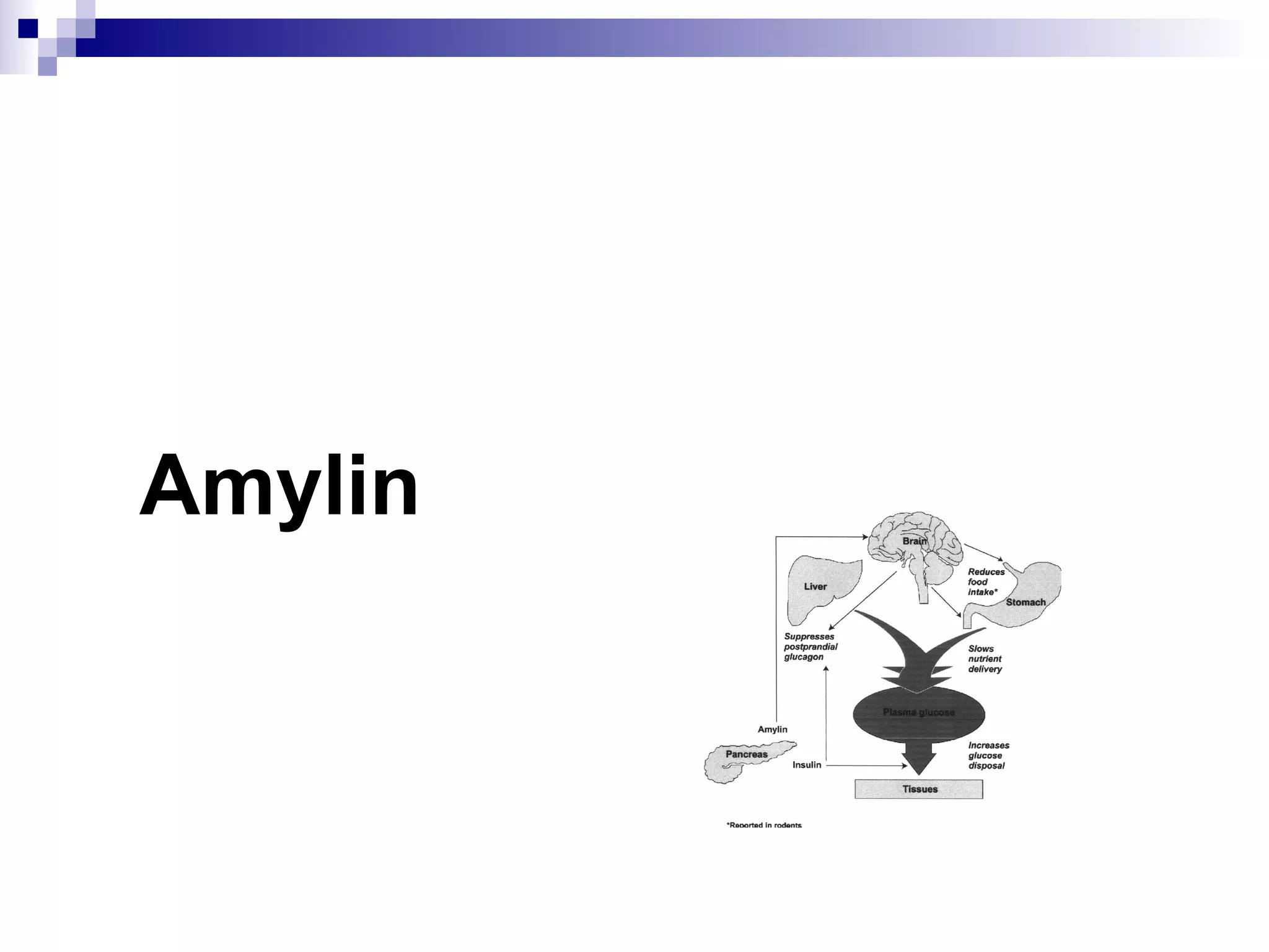 Amylin
 