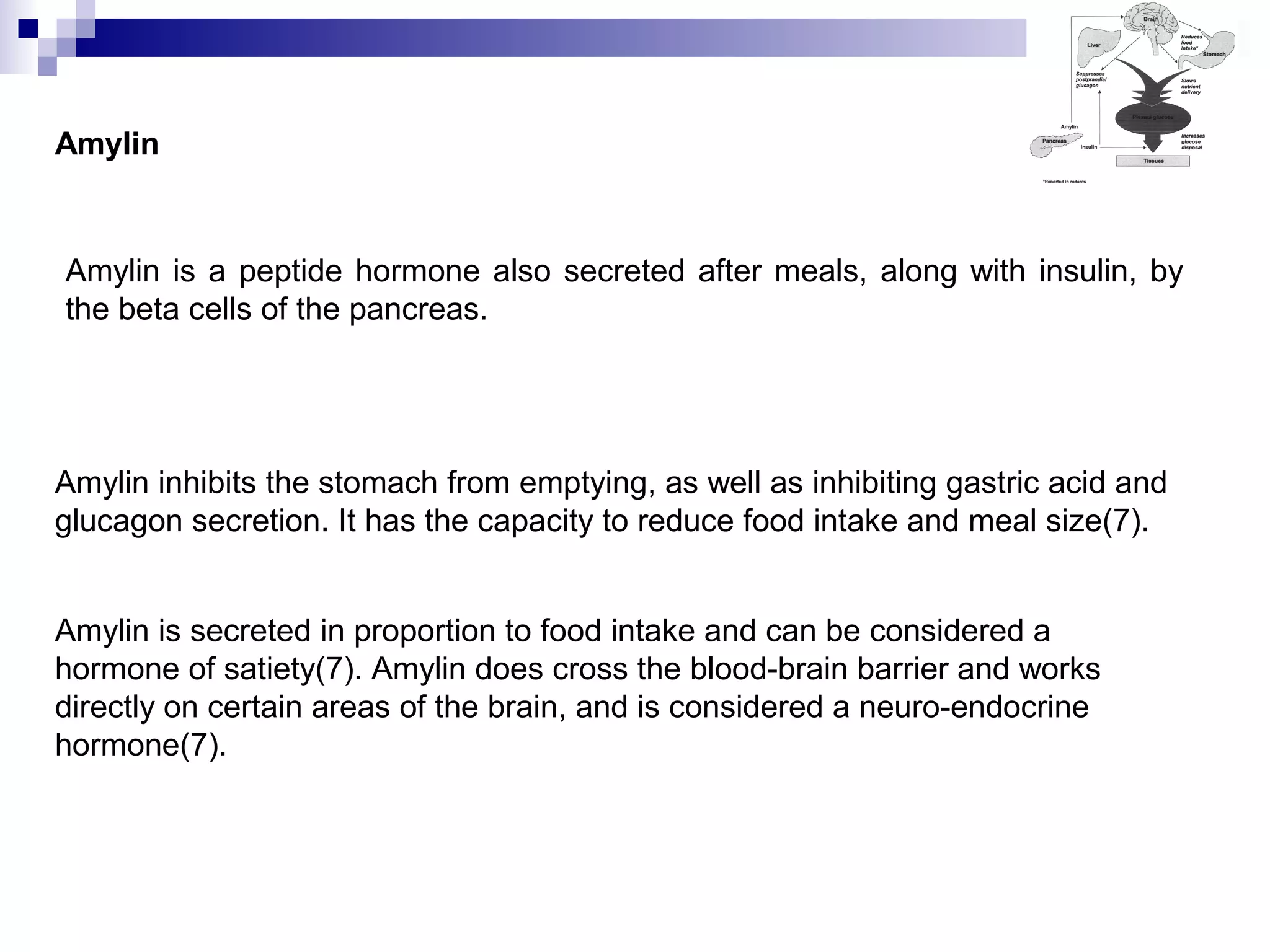 Amylin
Amylin is a peptide hormone also secreted after meals, along with insulin, by
the beta cells of the pancreas.
Amylin inhibits the stomach from emptying, as well as inhibiting gastric acid and
glucagon secretion. It has the capacity to reduce food intake and meal size(7).
Amylin is secreted in proportion to food intake and can be considered a
hormone of satiety(7). Amylin does cross the blood-brain barrier and works
directly on certain areas of the brain, and is considered a neuro-endocrine
hormone(7).
 