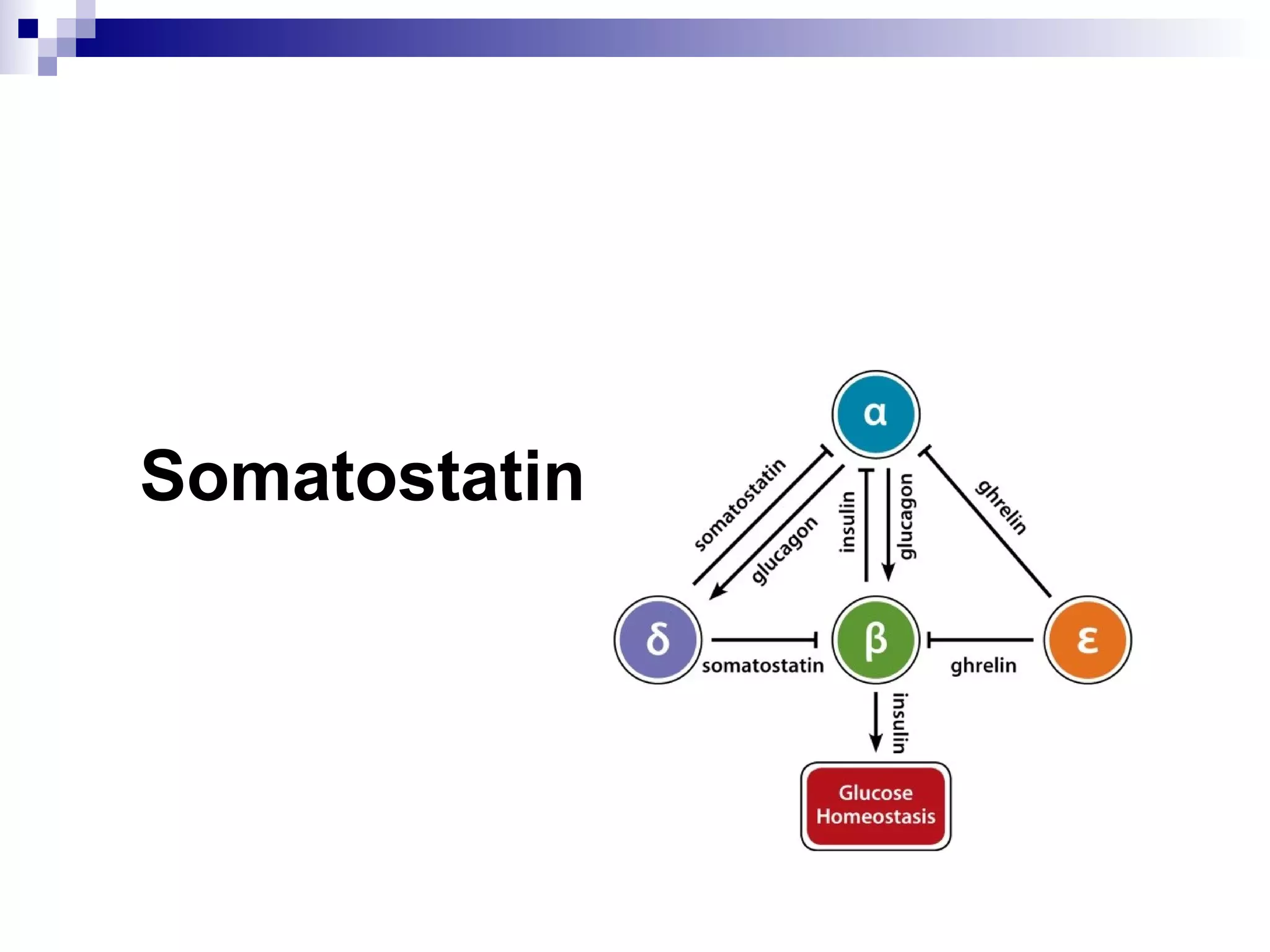 Somatostatin
 