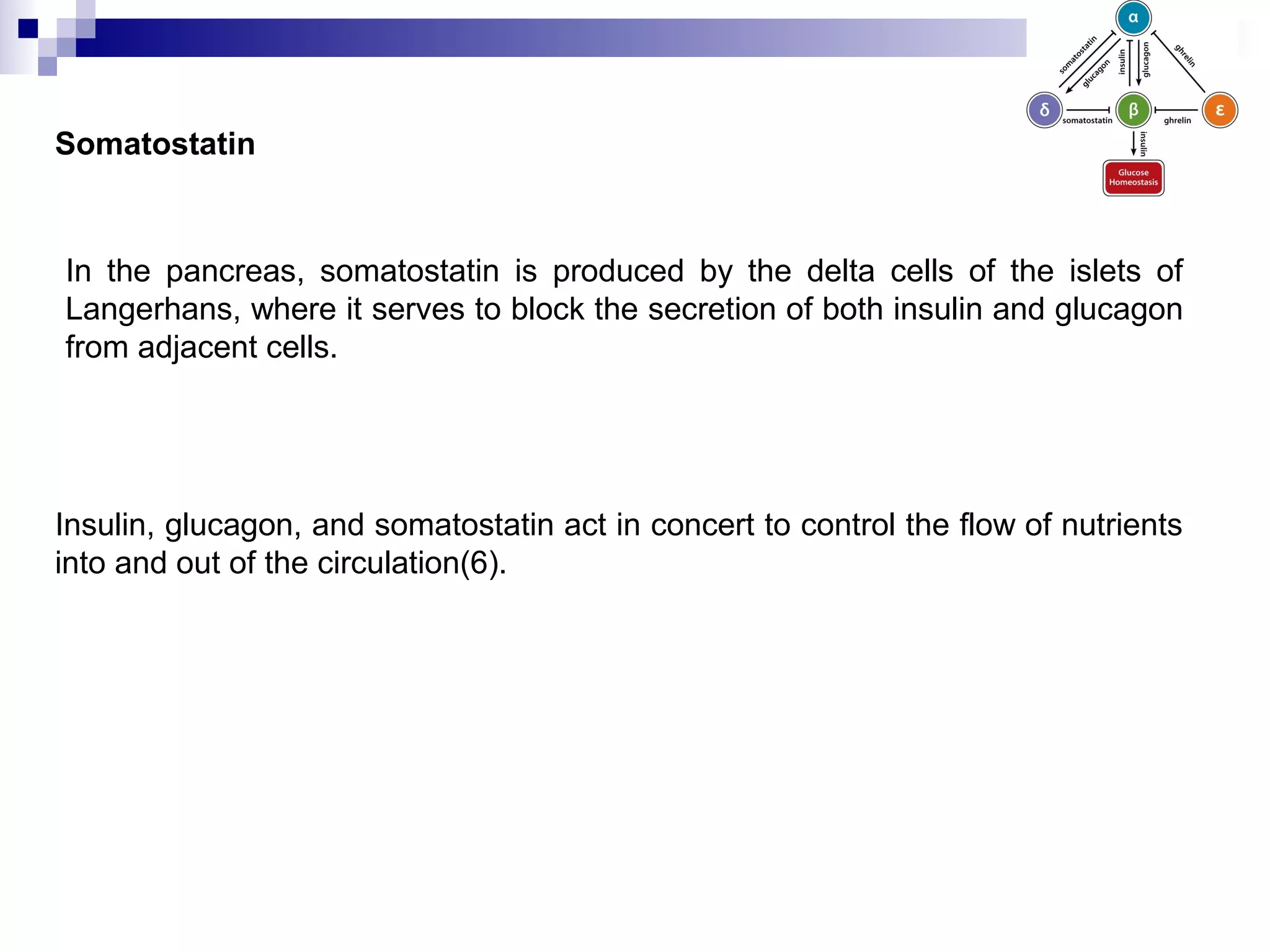 Somatostatin
In the pancreas, somatostatin is produced by the delta cells of the islets of
Langerhans, where it serves to block the secretion of both insulin and glucagon
from adjacent cells.
Insulin, glucagon, and somatostatin act in concert to control the flow of nutrients
into and out of the circulation(6).
 