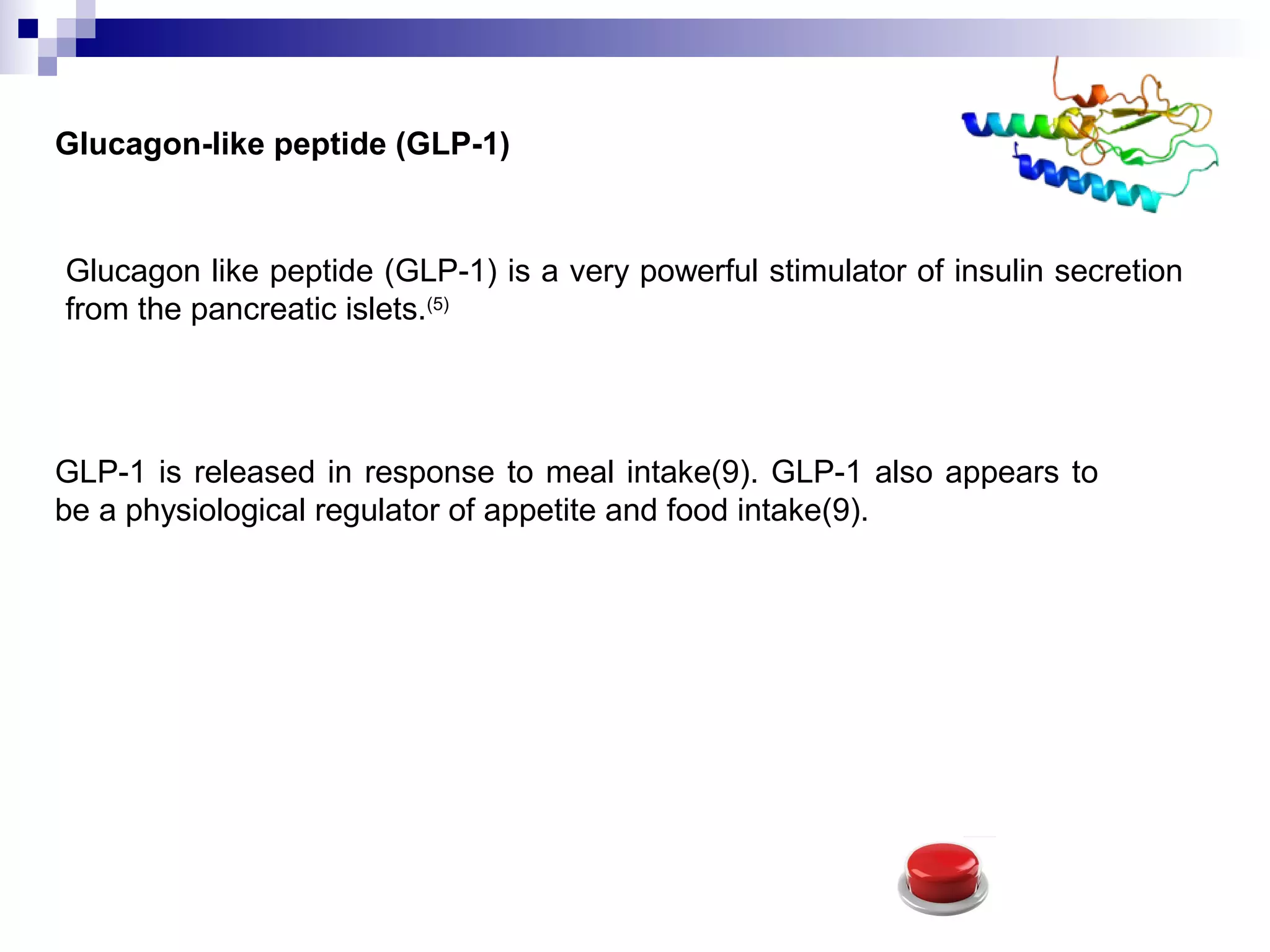 Glucagon-like peptide (GLP-1)
Glucagon like peptide (GLP-1) is a very powerful stimulator of insulin secretion
from the pancreatic islets.(5)
GLP-1 is released in response to meal intake(9). GLP-1 also appears to
be a physiological regulator of appetite and food intake(9).
 