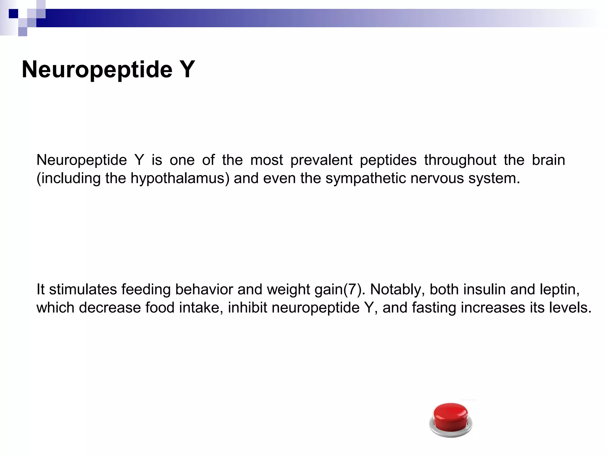 Neuropeptide Y
Neuropeptide Y is one of the most prevalent peptides throughout the brain
(including the hypothalamus) and even the sympathetic nervous system.
It stimulates feeding behavior and weight gain(7). Notably, both insulin and leptin,
which decrease food intake, inhibit neuropeptide Y, and fasting increases its levels.
 