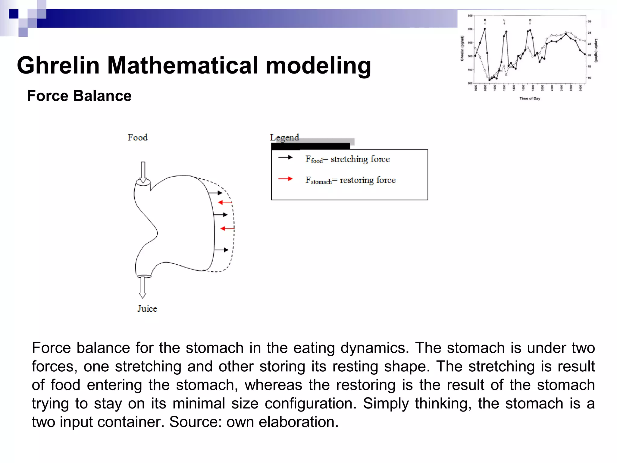 Force Balance
Ghrelin Mathematical modeling
Force balance for the stomach in the eating dynamics. The stomach is under two
forces, one stretching and other storing its resting shape. The stretching is result
of food entering the stomach, whereas the restoring is the result of the stomach
trying to stay on its minimal size configuration. Simply thinking, the stomach is a
two input container. Source: own elaboration.
 