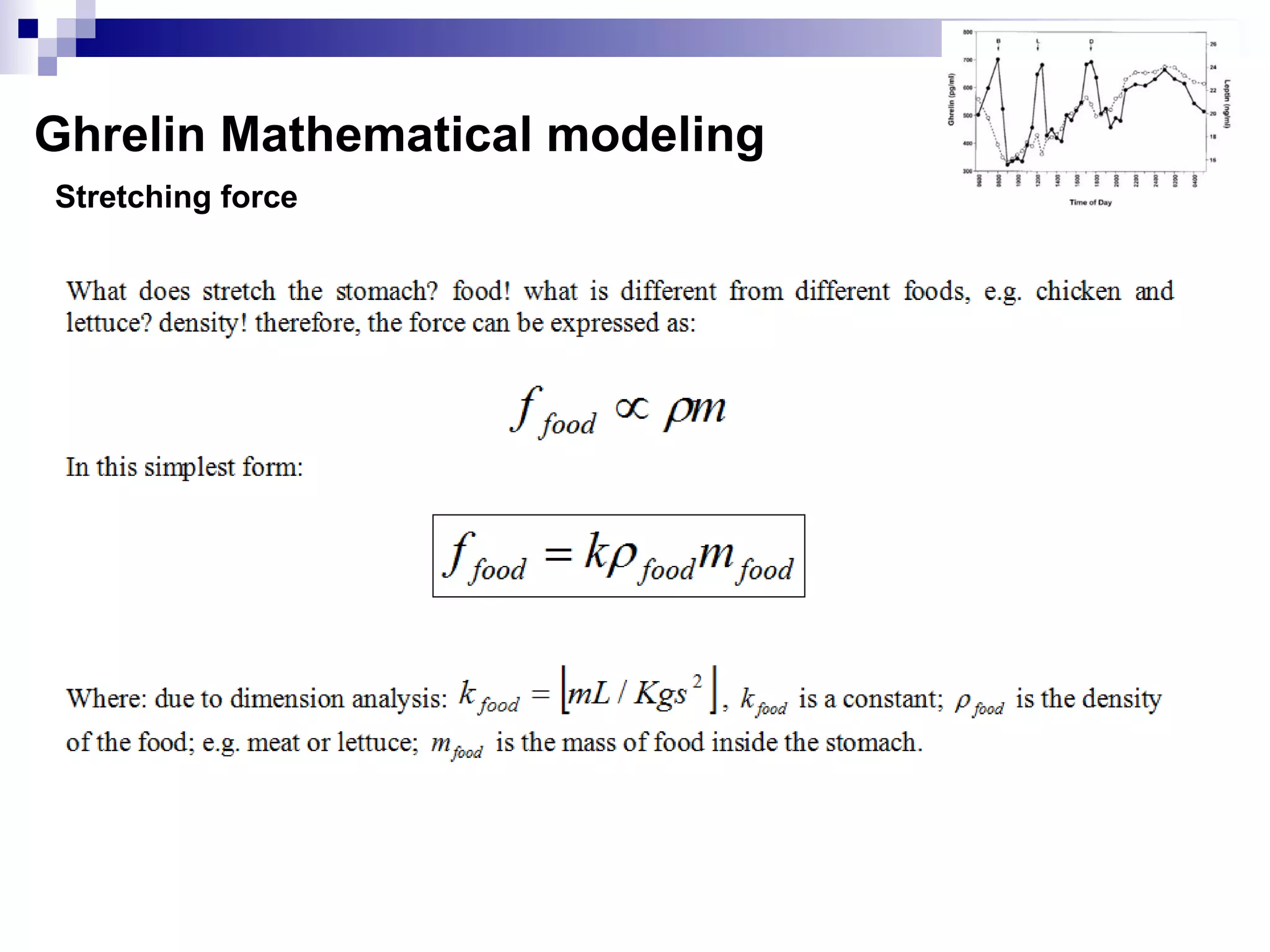Stretching force
Ghrelin Mathematical modeling
 
